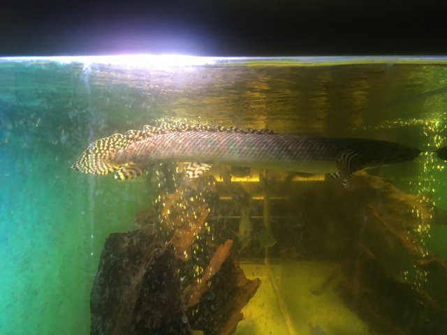 758A6B9C-2716-4975-BF83-06B288FEEC0F.jpeg 758A6B9C-2716-4975-BF83-06B288FEEC0F.jpeg