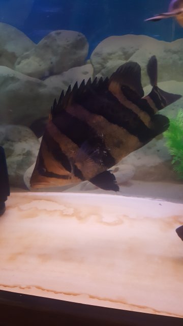 20180929_170539.jpg
