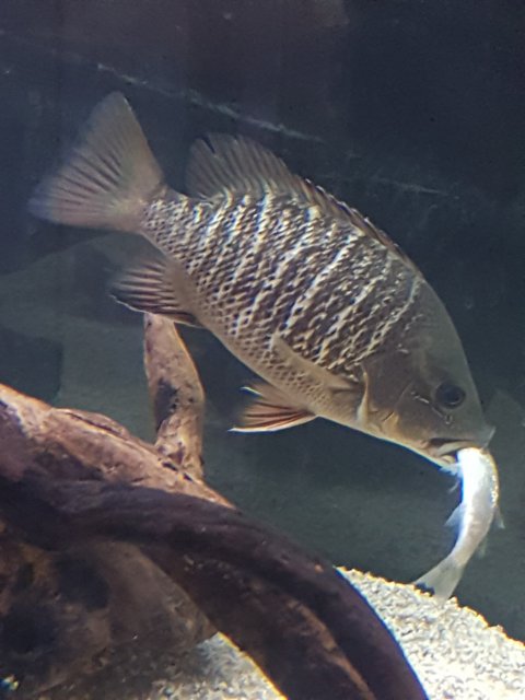 20180607_170305.jpg
