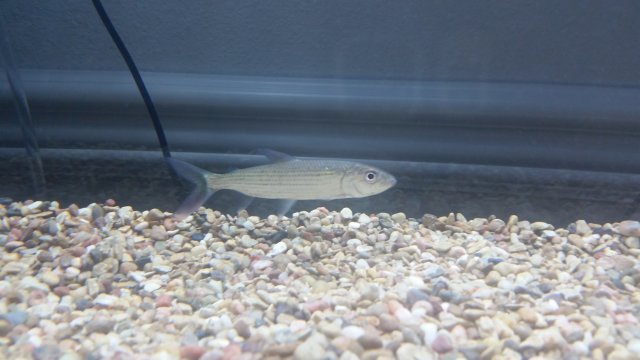 20181002_173541.jpg
