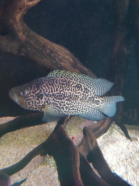 20180922_135712.jpg
