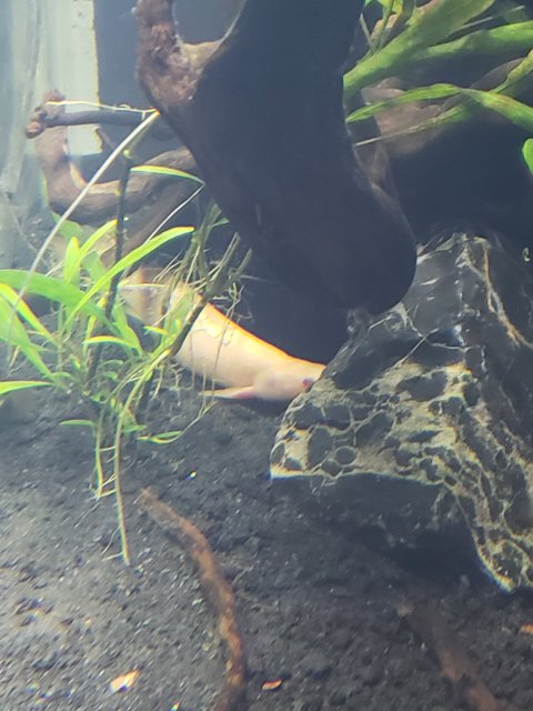 20181003_084235.jpg