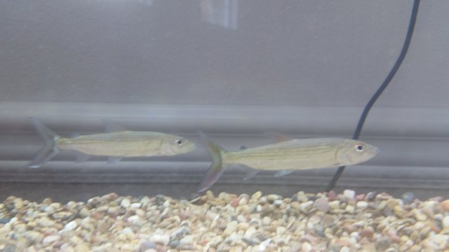 20181004_141913.jpg