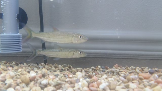 20181004_141642.jpg