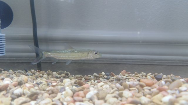 20181004_141633.jpg