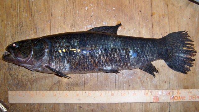 100_8220.JPG