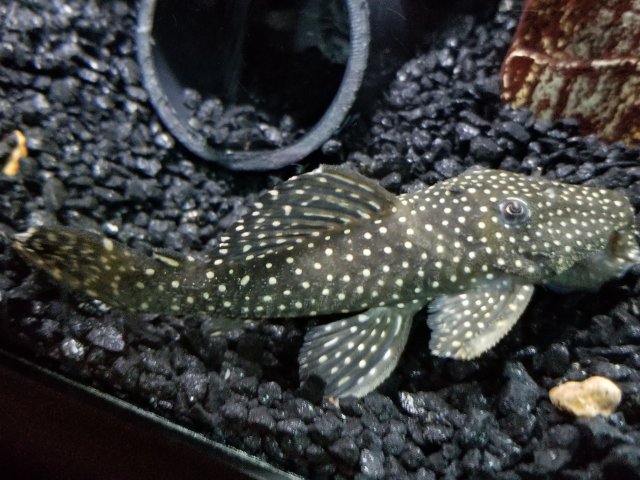 20180303_183553.jpg