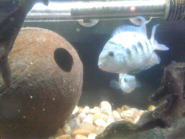20181008_113005.jpg