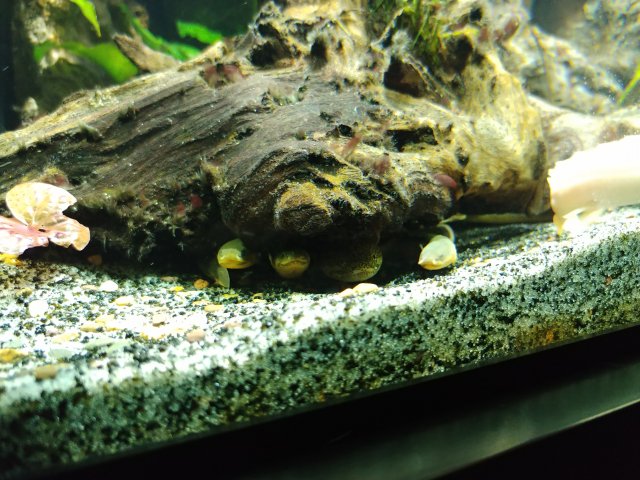 20181008_192756.jpg