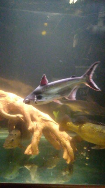 20181009_204629.jpg
