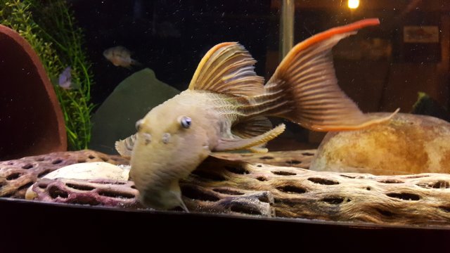 20181008_151937.jpg