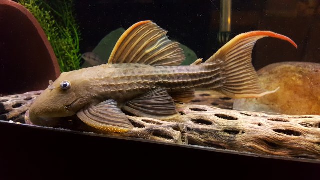 20181008_151933.jpg
