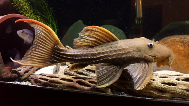 20181008_151946.jpg