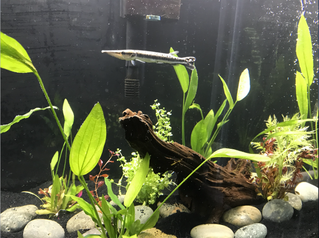 Screen Shot 2018-10-10 at 8.15.37 PM.png