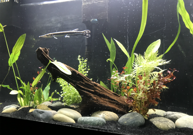 Screen Shot 2018-10-10 at 8.15.21 PM.png