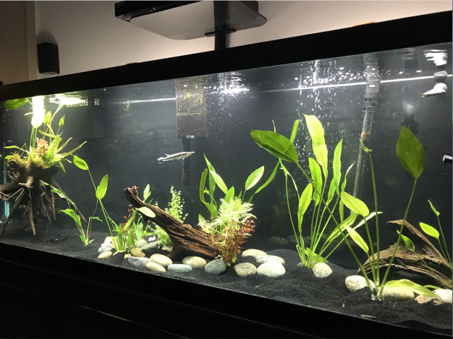 Screen Shot 2018-10-10 at 8.14.24 PM.png