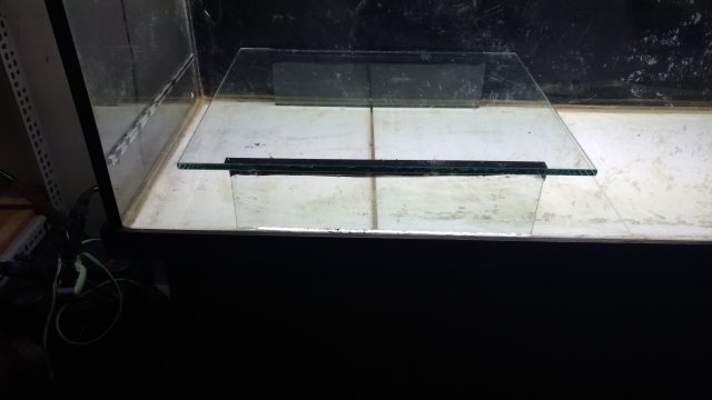 P_20181011_123859_vHDR_Auto.jpg