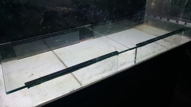 P_20181011_124033_vHDR_Auto.jpg