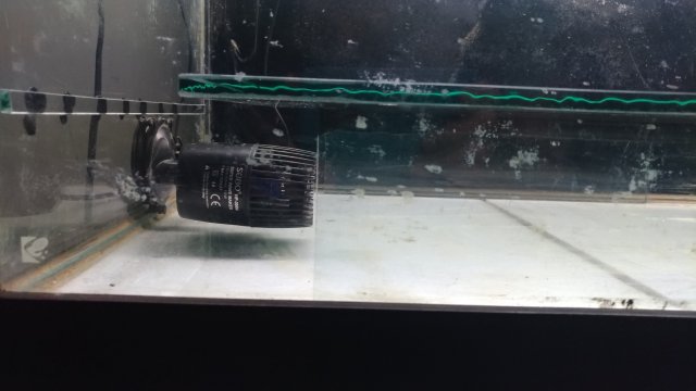 P_20181011_124321_vHDR_Auto.jpg