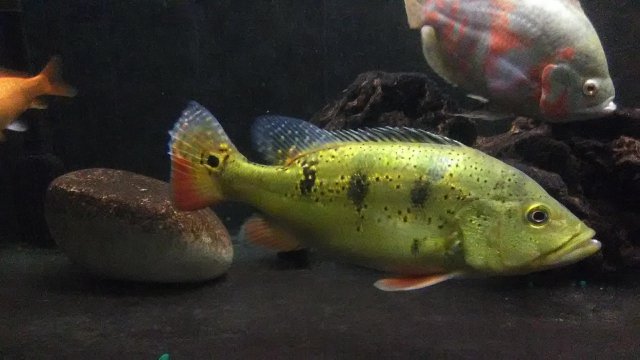 IMG_20181010_012416.jpg