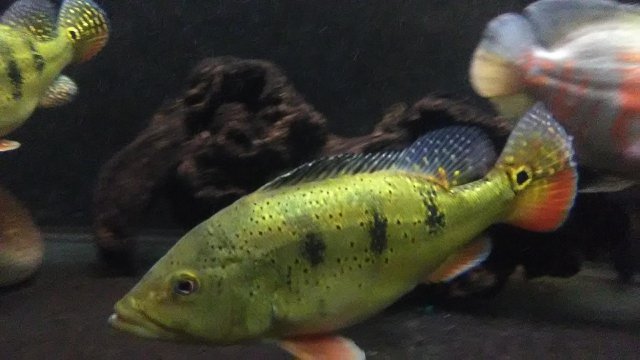 IMG_20181010_012305.jpg