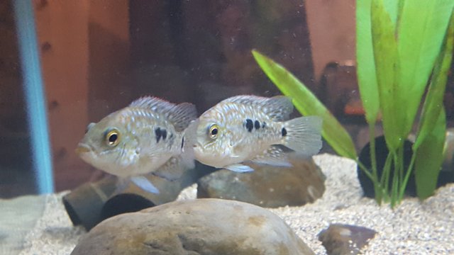 20181012_184055.jpg