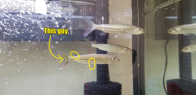 received_692477281138338.jpeg