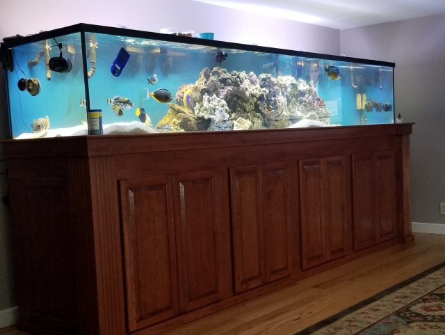 20180817_170243.jpg