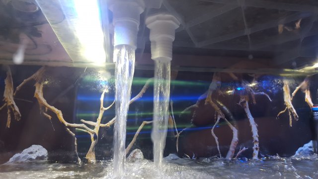 20181008_154119.jpg