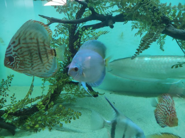 IMG_20181014_163828.jpg
