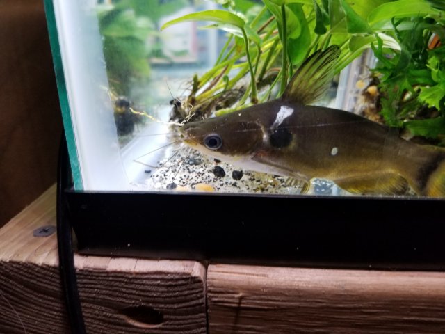 20181015_201856.jpg