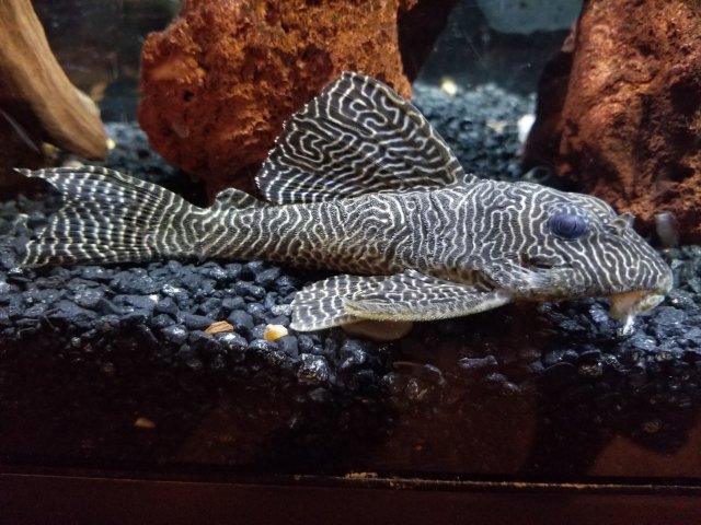 20181003_201312.jpg