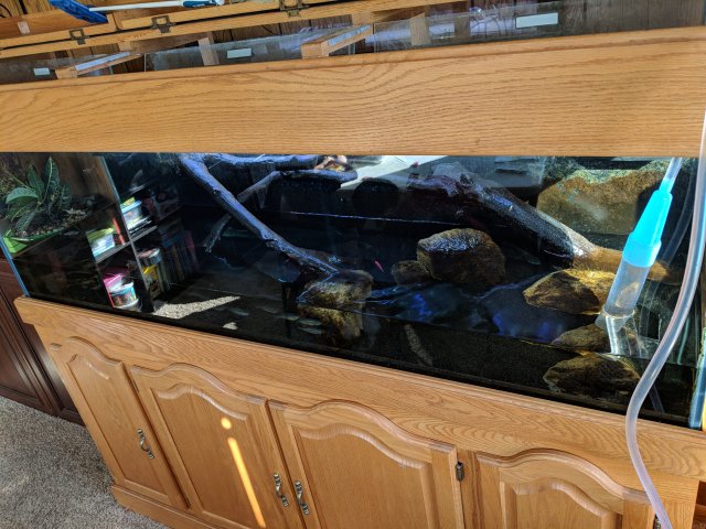 D855EE37-084B-4E48-8577-BC5DB41820CF.jpeg D855EE37-084B-4E48-8577-BC5DB41820CF.jpeg