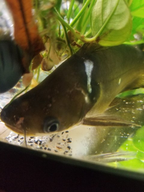 20181018_205330.jpg