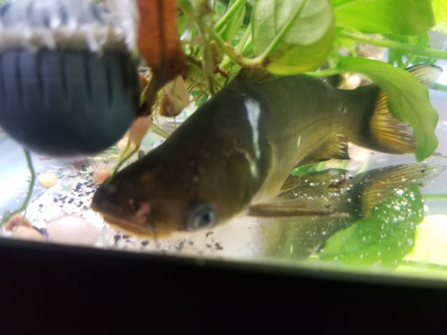 20181018_205252.jpg