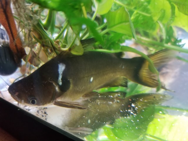 20181018_205240.jpg