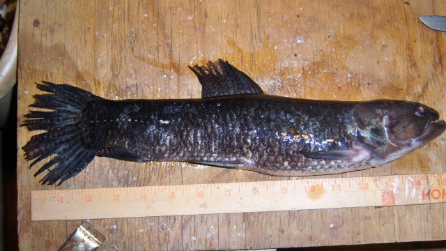 100_8244.JPG 100_8244.JPG