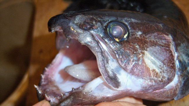 100_8249.JPG 100_8249.JPG