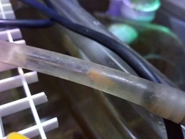 20181018_205332.jpg