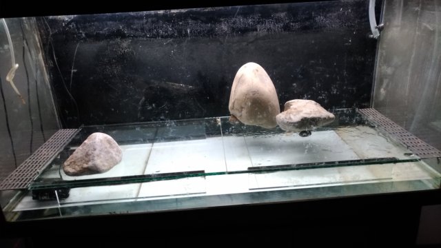 P_20181020_164943_vHDR_Auto.jpg