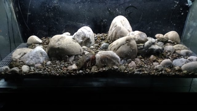 P_20181020_174631_vHDR_Auto.jpg