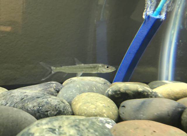 Screen Shot 2018-10-21 at 4.21.17 PM.png