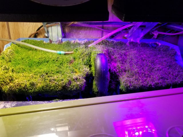 15401626986946089431764011876380.jpg 15401626986946089431764011876380.jpg