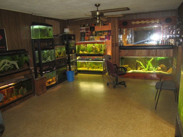 fish-room.JPG