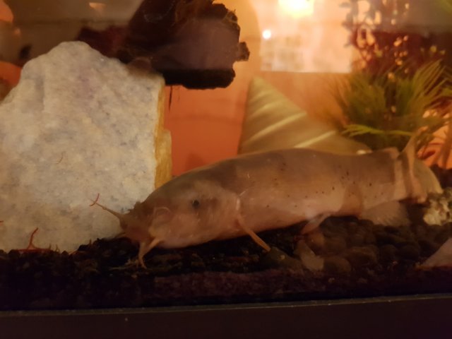 20181013_192531.jpg