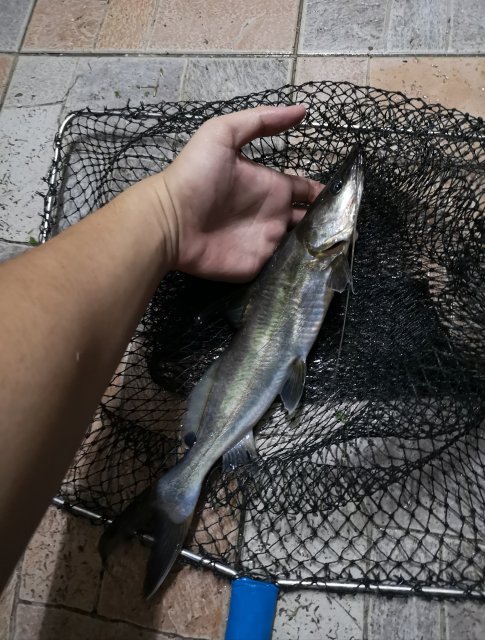 IMG_20181026_014024.jpg IMG_20181026_014024.jpg