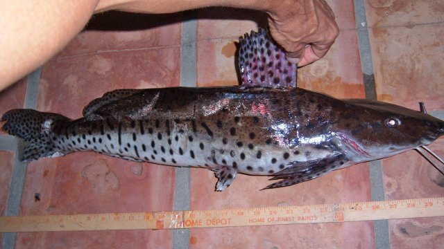 100_8258.JPG