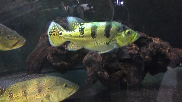 IMG_20181018_120451.jpg