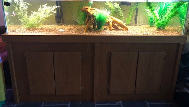 aquarium.jpg