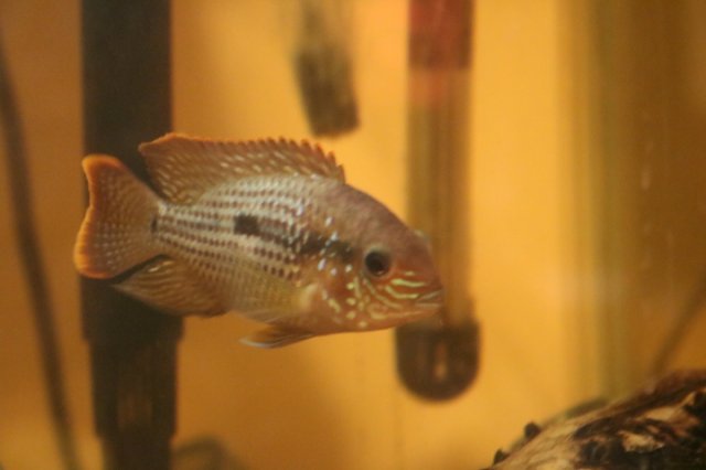10782631920_IMG_7073.JPG